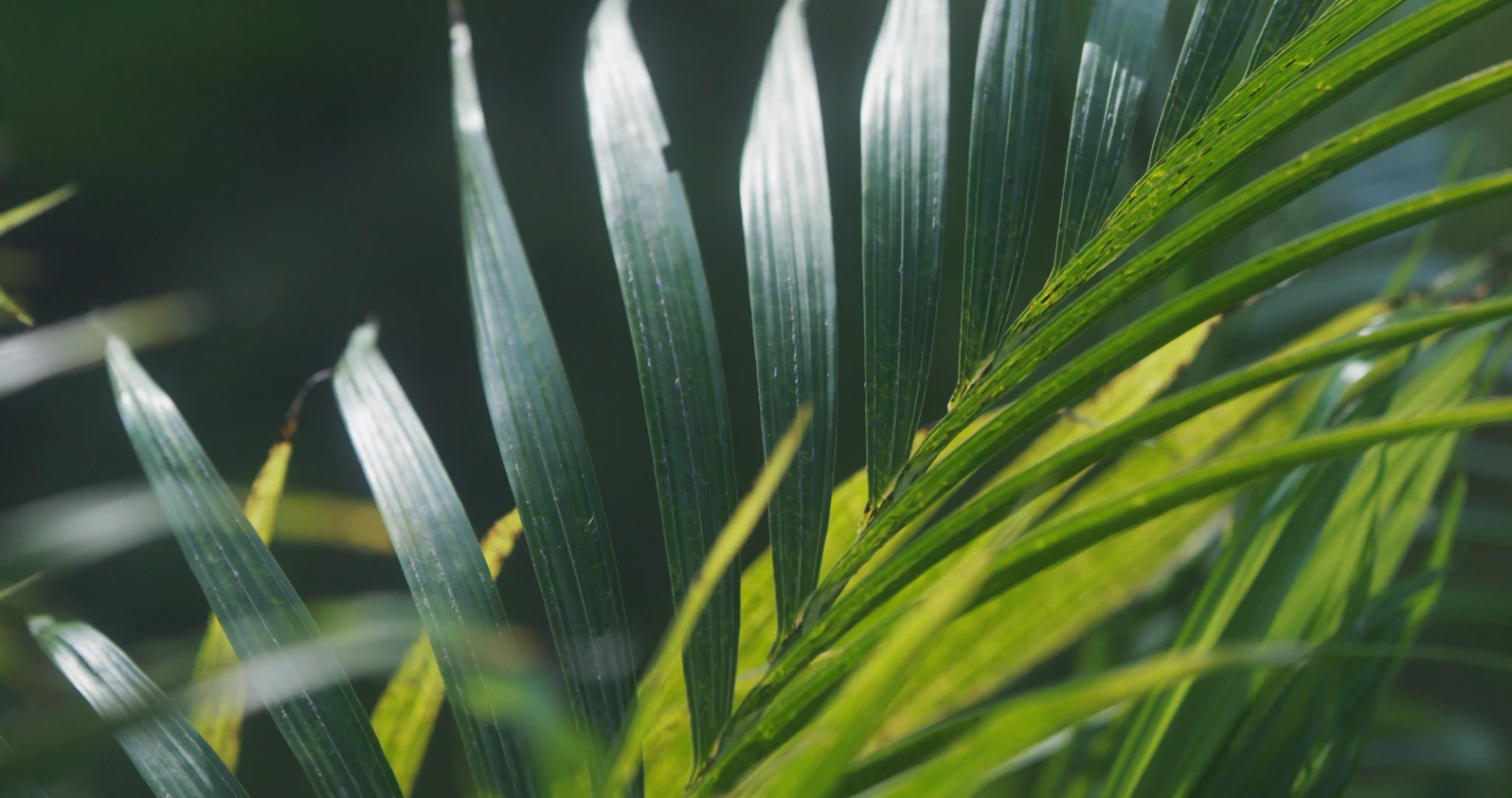 Zest in Summer BTS 1