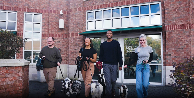 freepik__we-see-gusin-a-modern-wooden-office-with-some-natu__6676 2